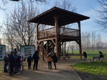 Spacer po Sieradzu w ramach Zimowego Ptakoliczenia 2025, 